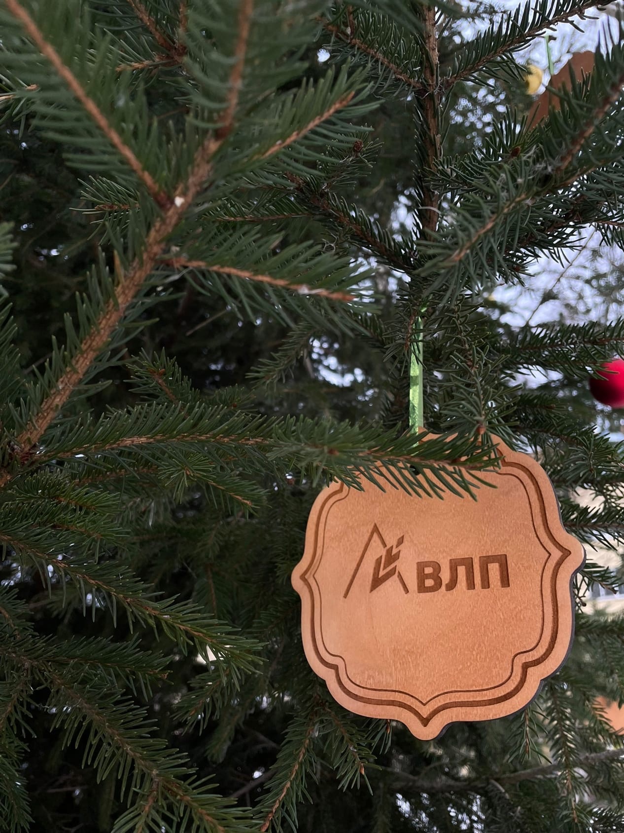 День волонтера «Вологодские лесопромышленники» отметили очередным подарком городу