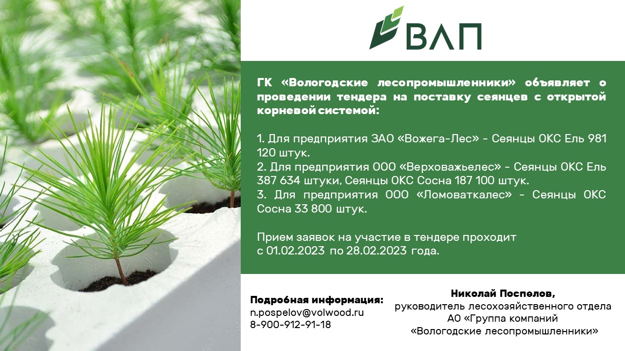 «Вологодские лесопромышленники» объявляют о проведении тендера на поставку сеянцев с открытой корневой системой