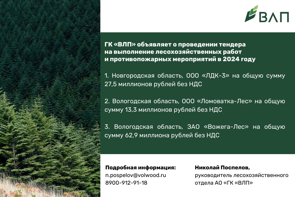 Группа компаний «ВЛП» объявляет о проведении тендера на выполнение лесохозяйственных работ и противопожарных мероприятий